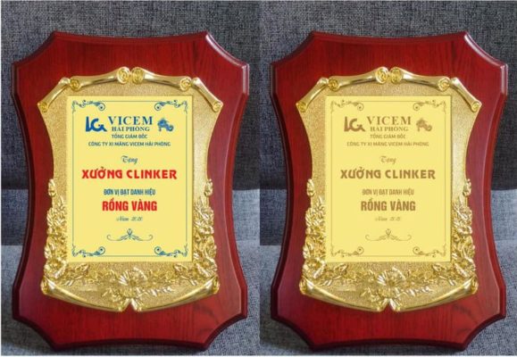 Mẫu kỷ niệm chương gỗ đồng vinh danh tại Tâm Thành Đạt